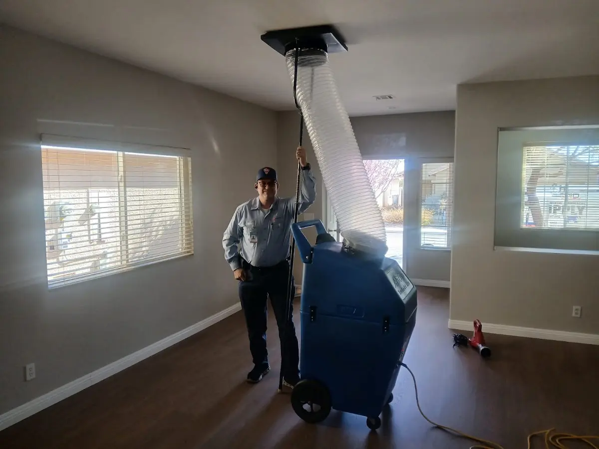 Professional Dryer Vent Cleaning work inside a Bellevue home